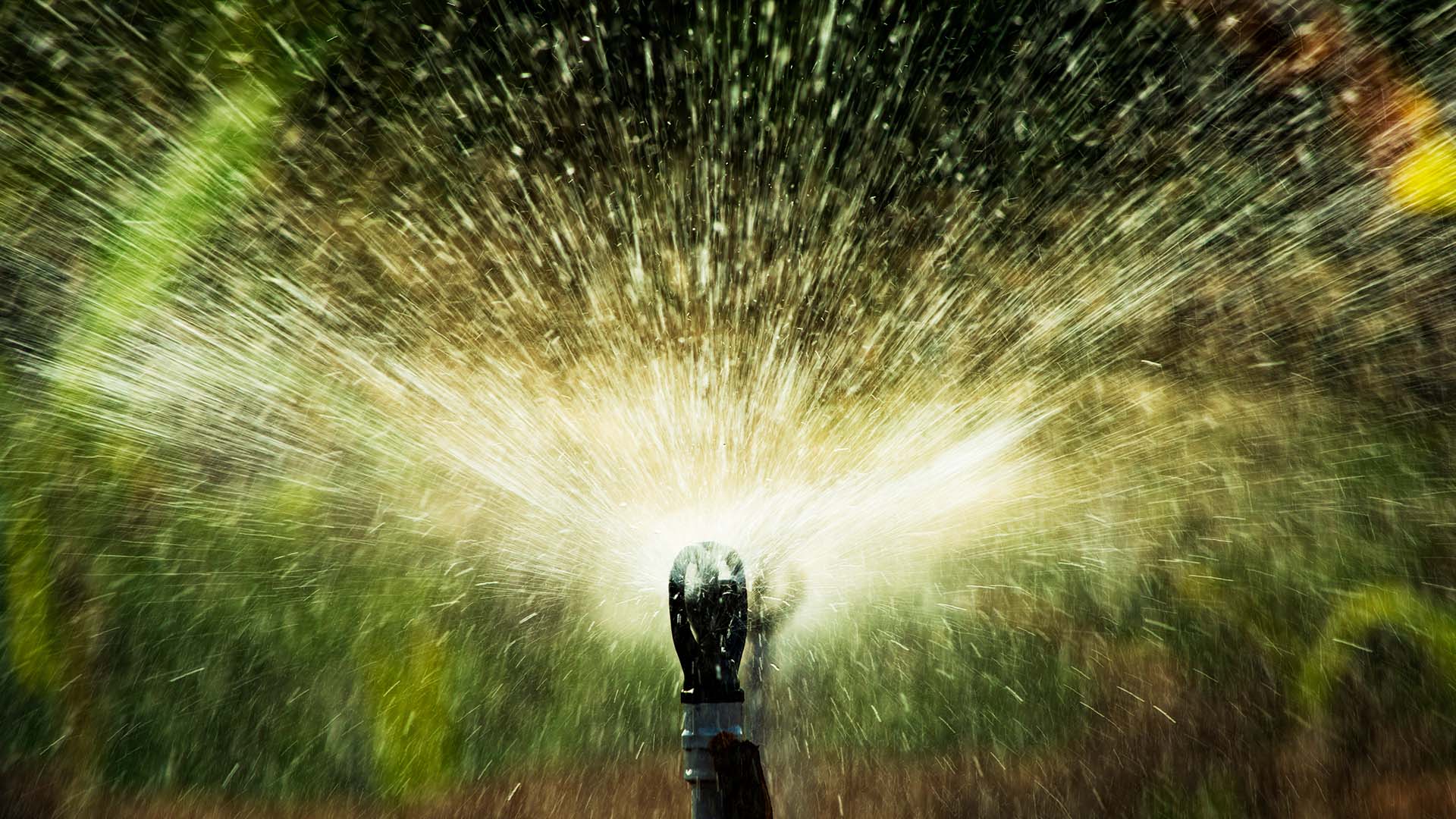 Close-up of a lawn sprinkler spraying water in a wide arc across green grass, with droplets captured in motion.