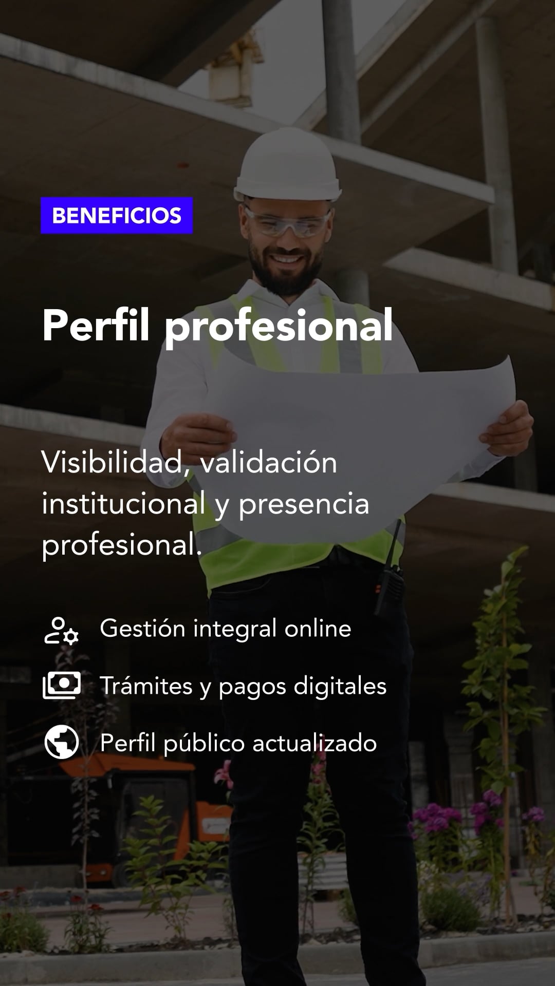 Perfil profesional