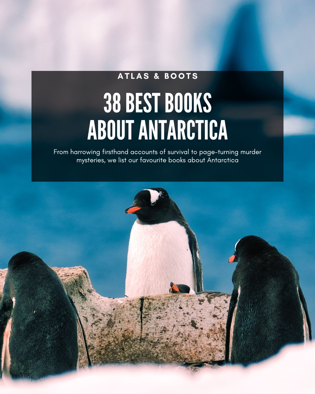 penguins in antarctica