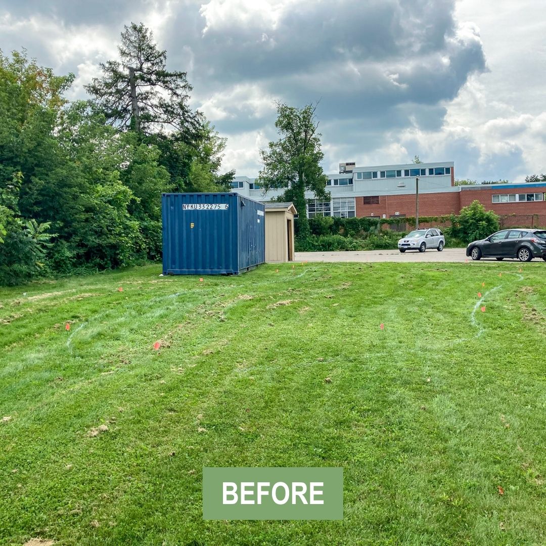 Mini forest project in Georgetown, Ontario