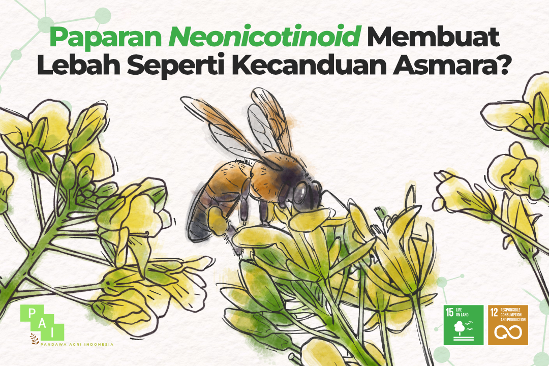 Populasi Lebah Menurun Akibat Kecanduan Insektisida?