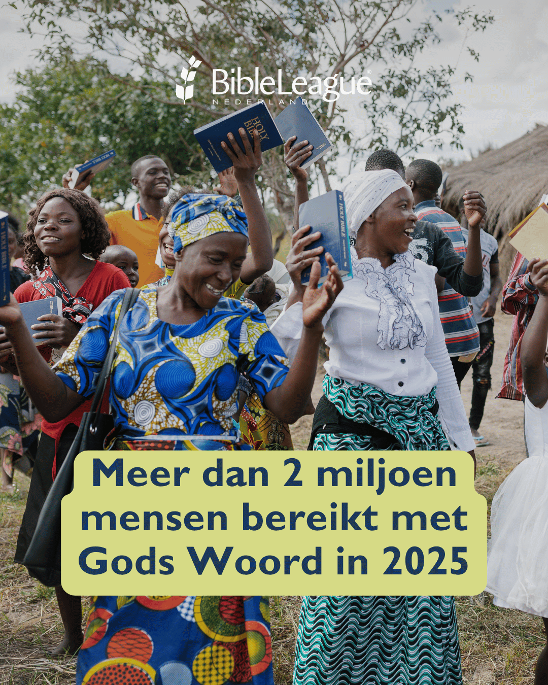 Impactverslag 2025