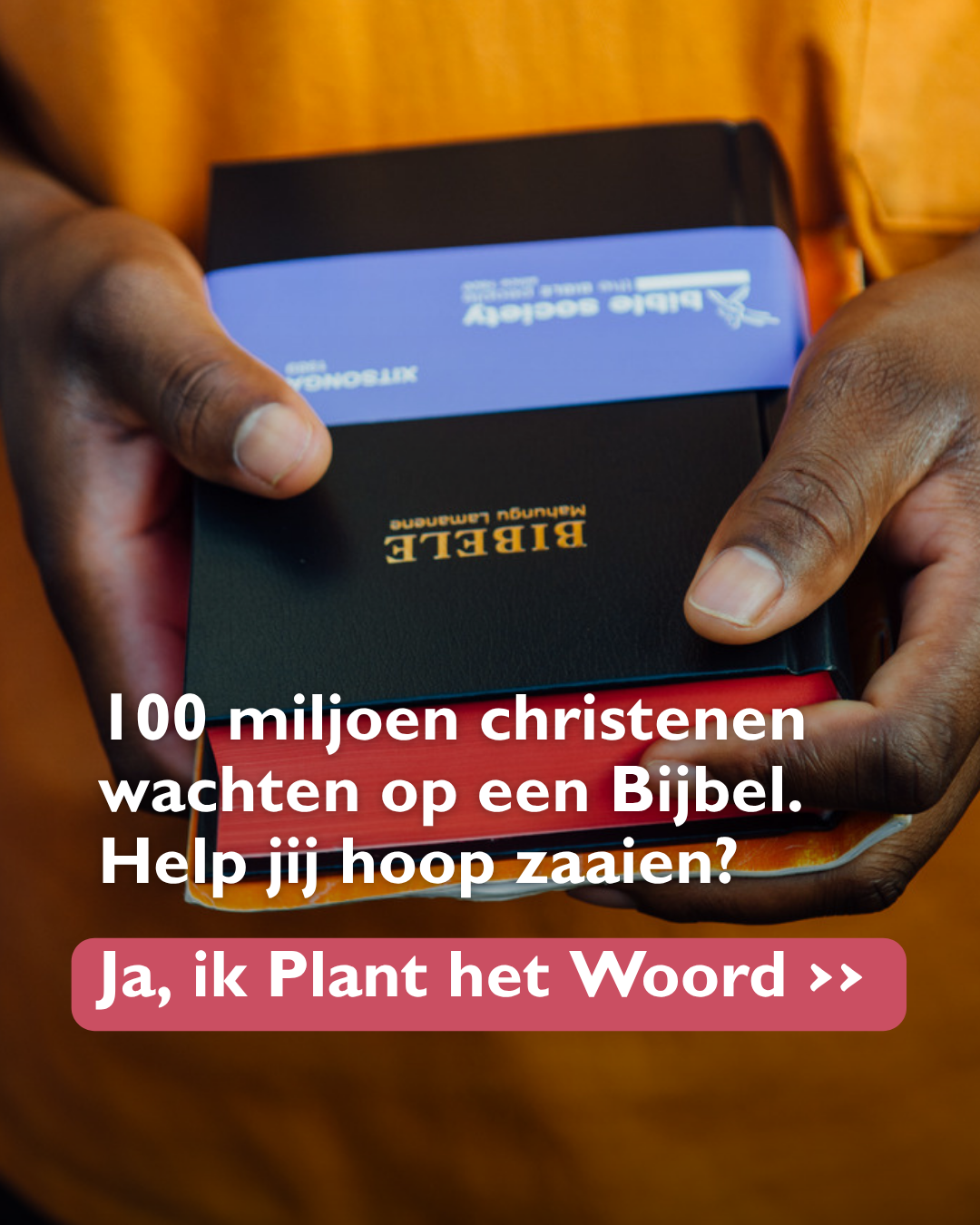 Plant het Woord