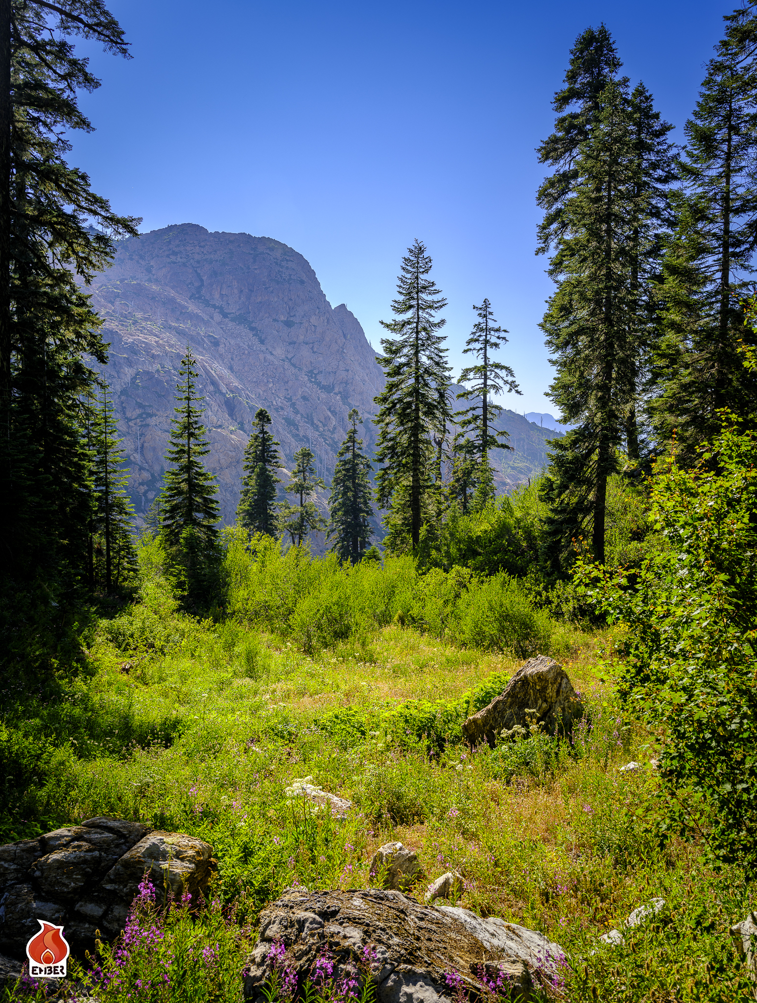 2021 Kangaroo Mountain Meadow