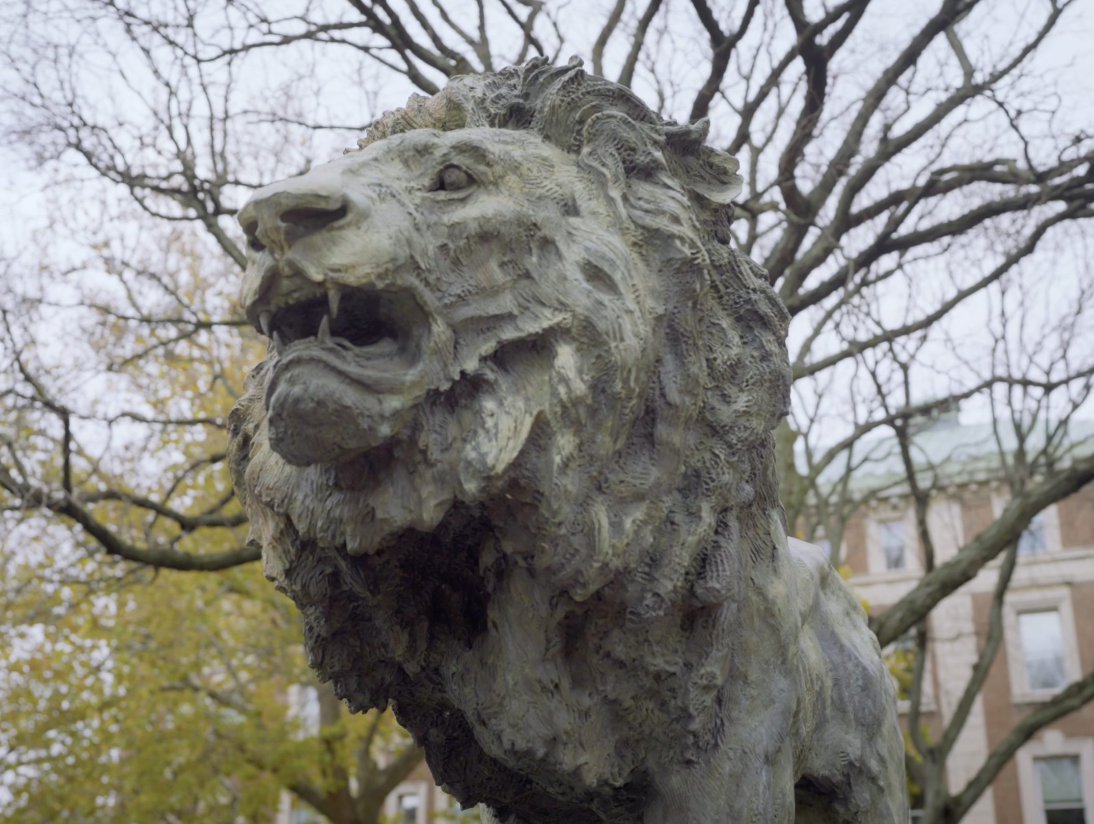 EDUCATION: Master of Science in Narrative Medicine