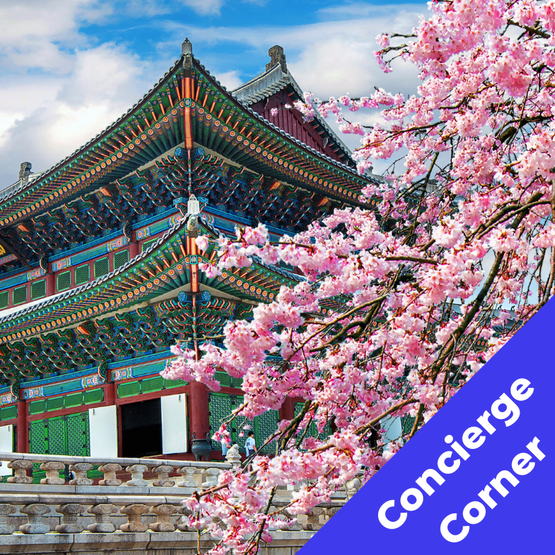 How the SCD Media Studio Landed me a Job in Korea