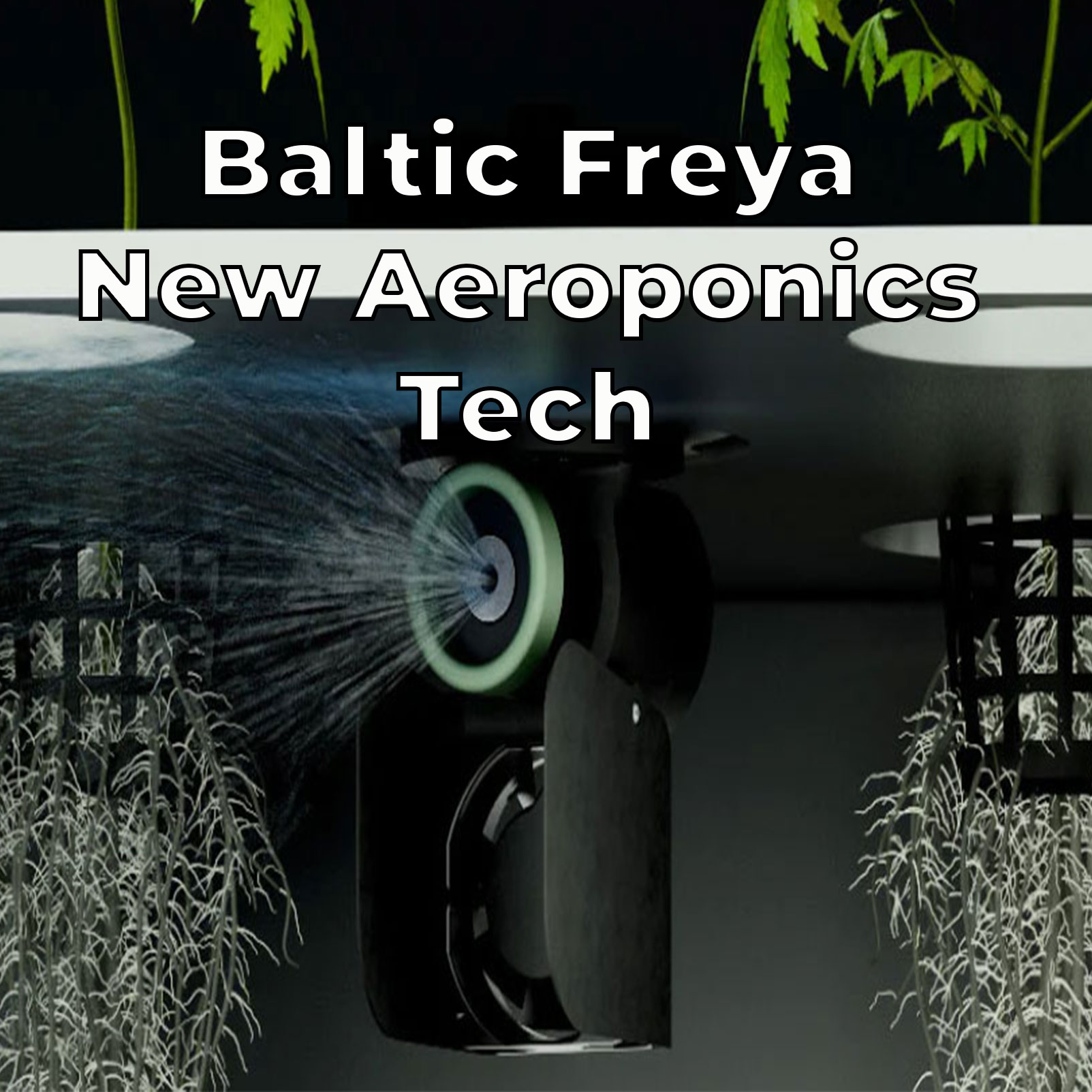 Baltic Freya Aeroponics Tech