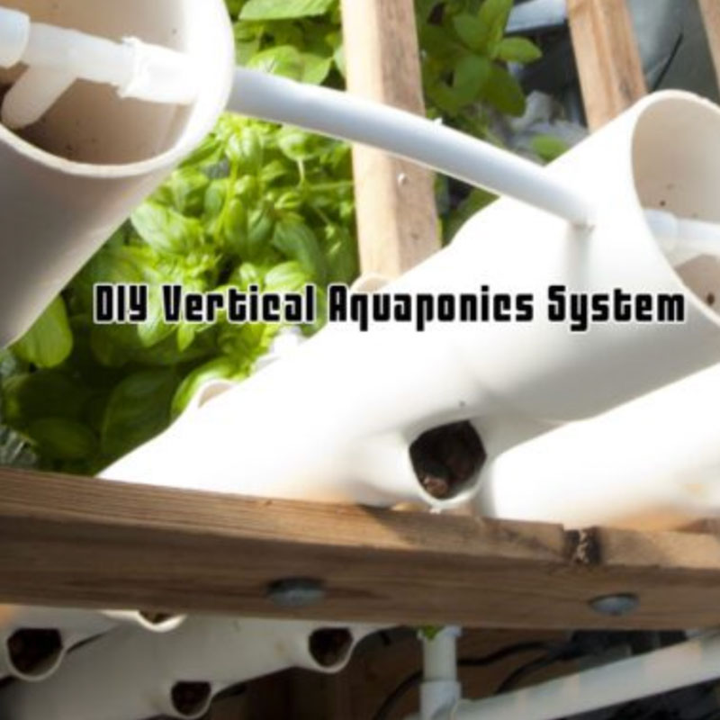 diy vertical aquaponics syste