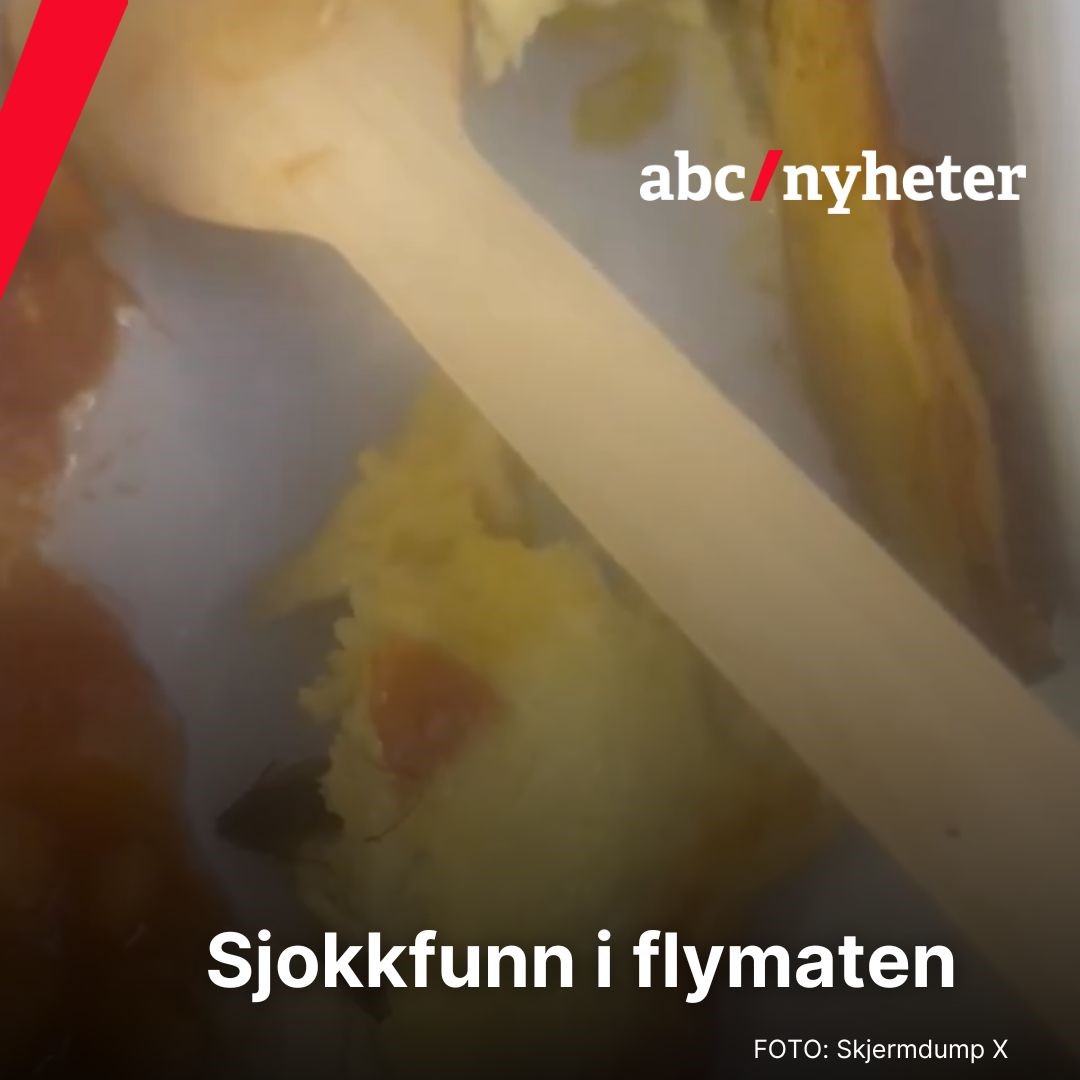 Sjokkfunn i flymaten