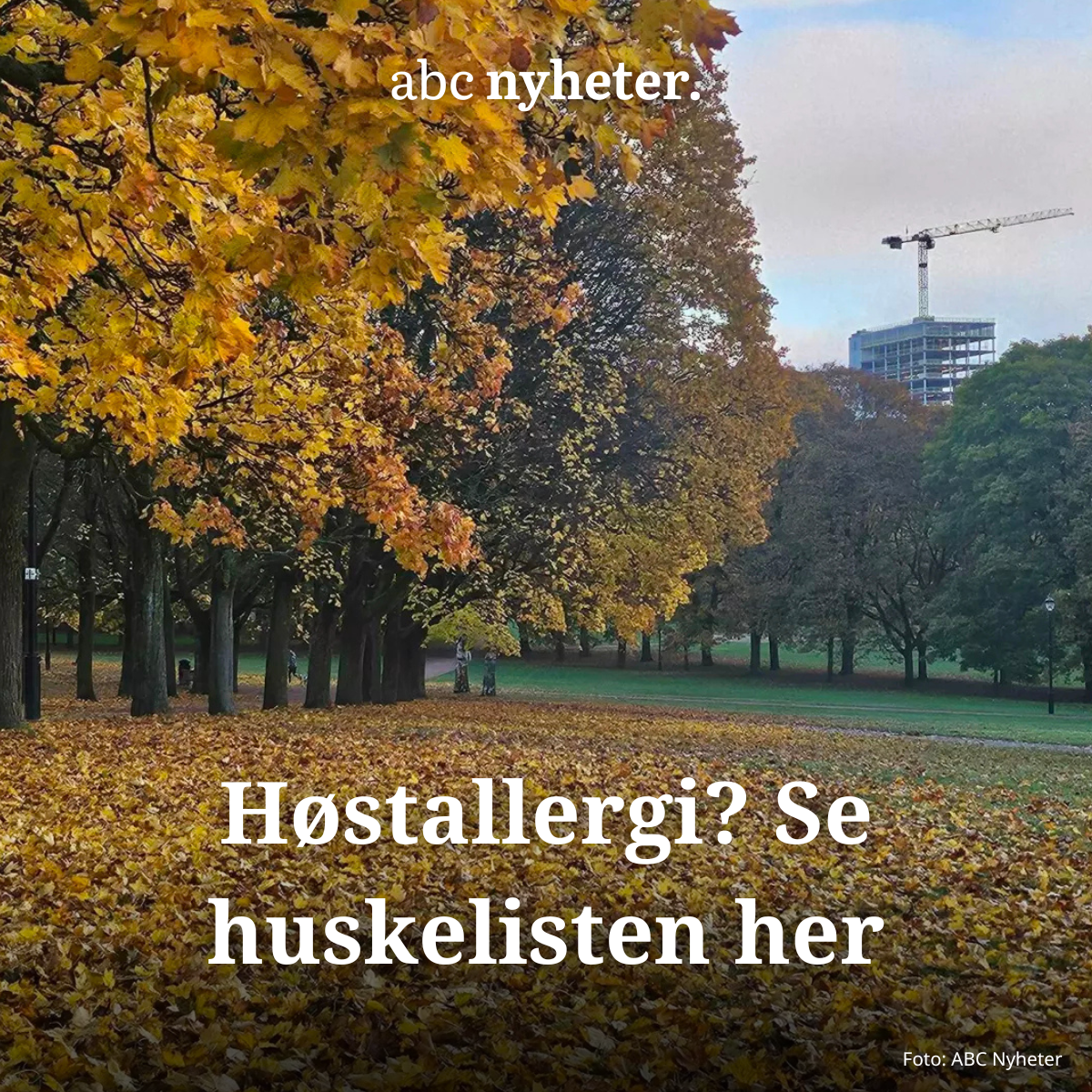 Høstallergi