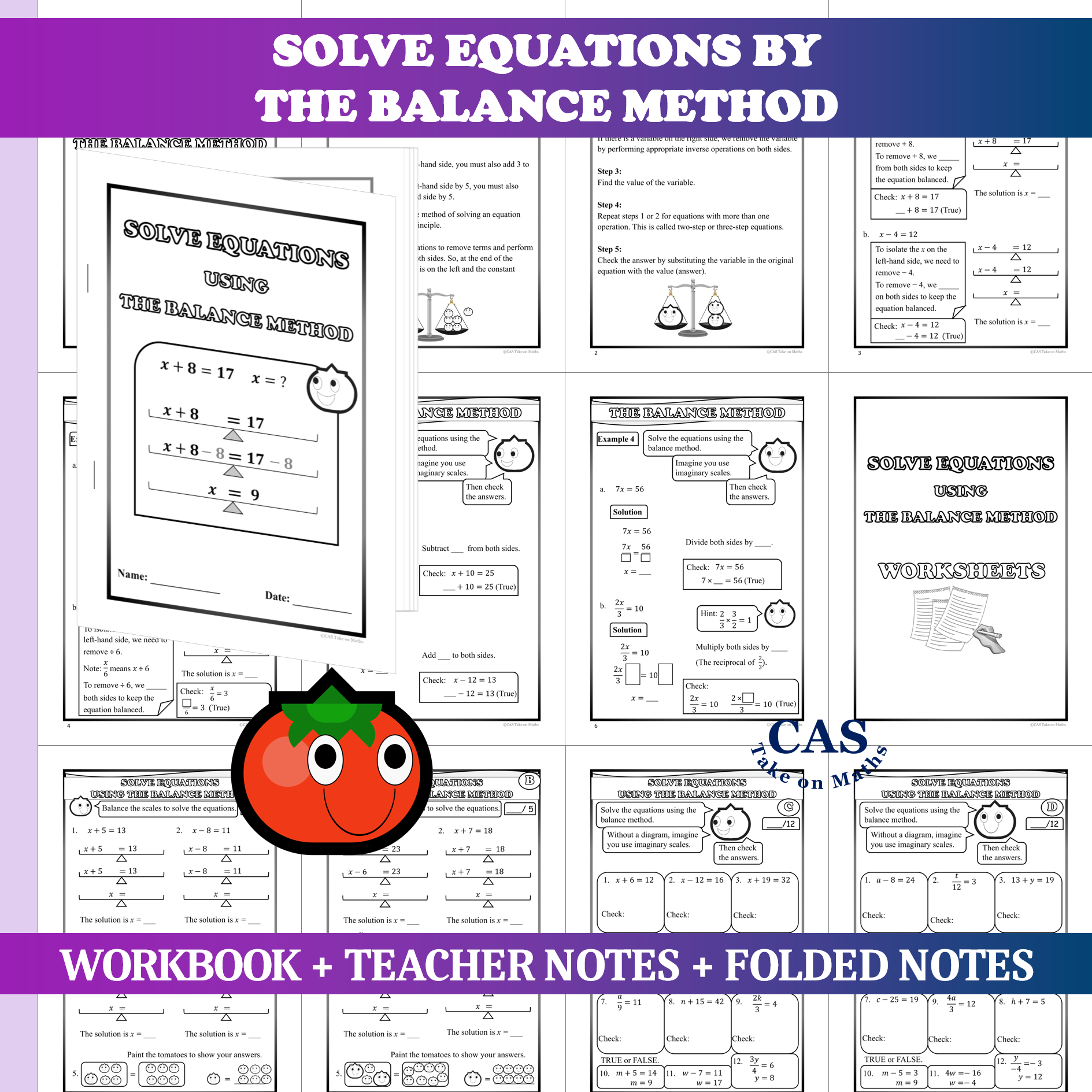 Solve One Step Linear Equations-Balance Method