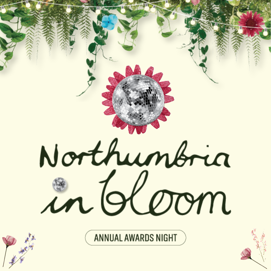 Annual Awards