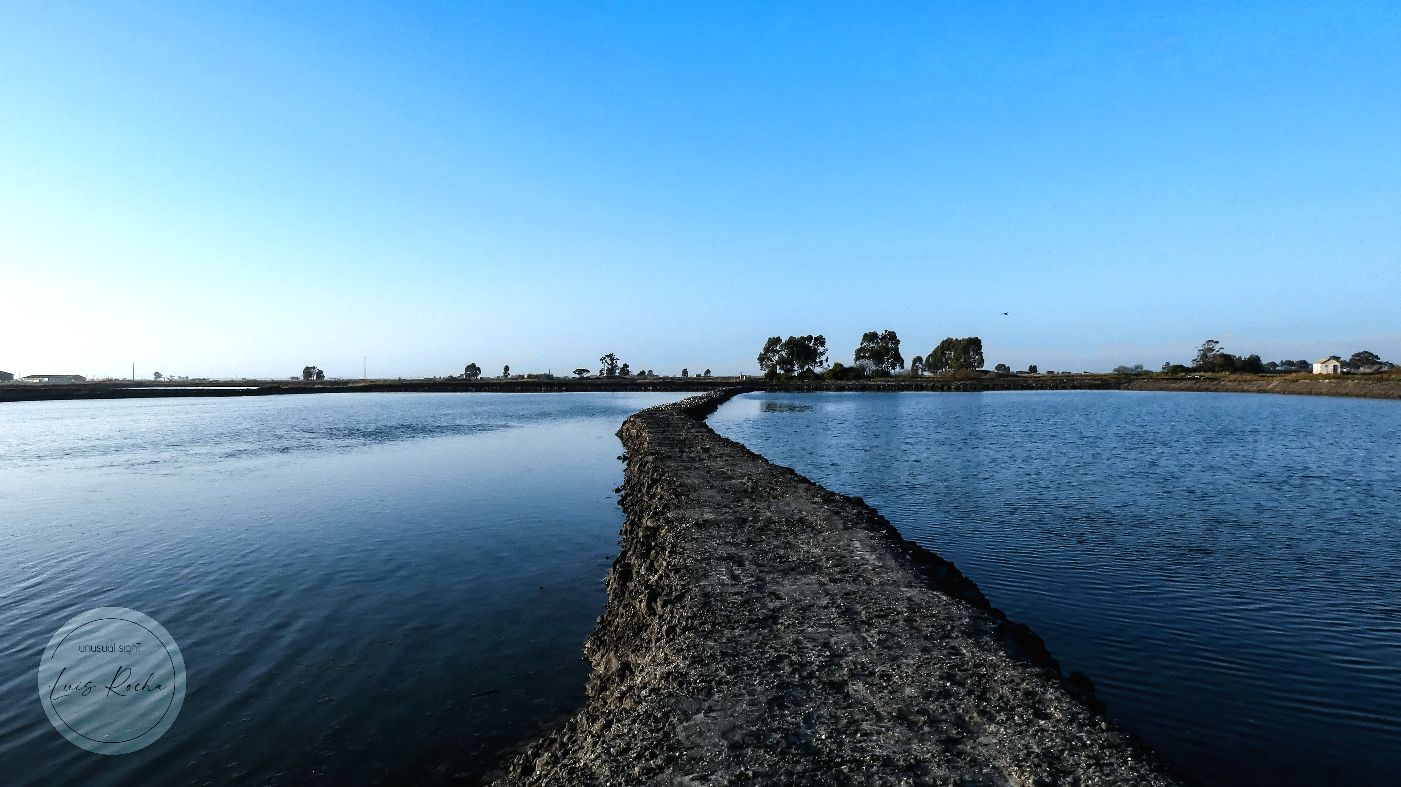 aveirolagoon riadeaveiro marinhas marinhadanoeirinha unusualsight luisrochamusician
