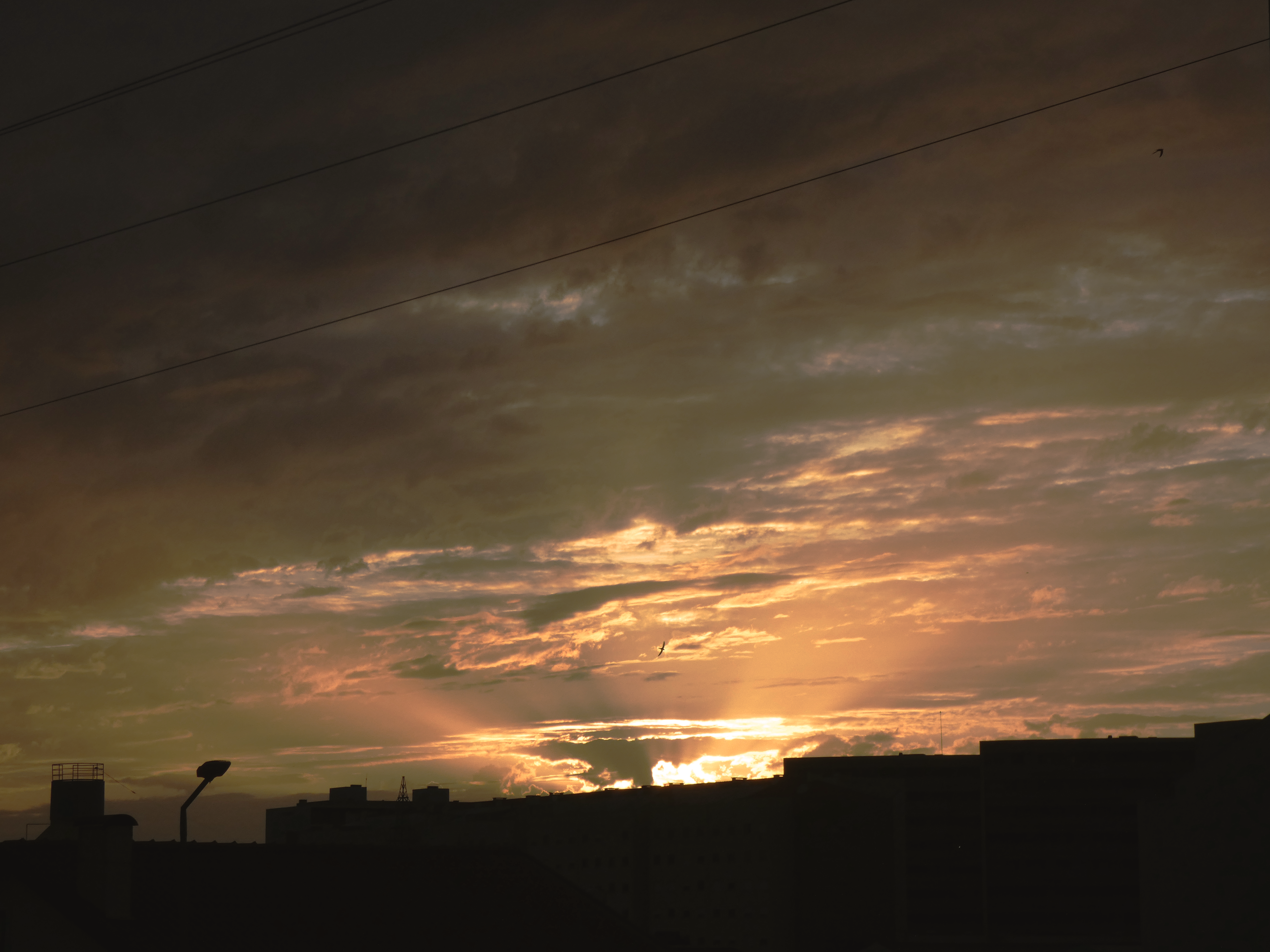 aveiro sunset goldenhour unusualsight luisrochamusician