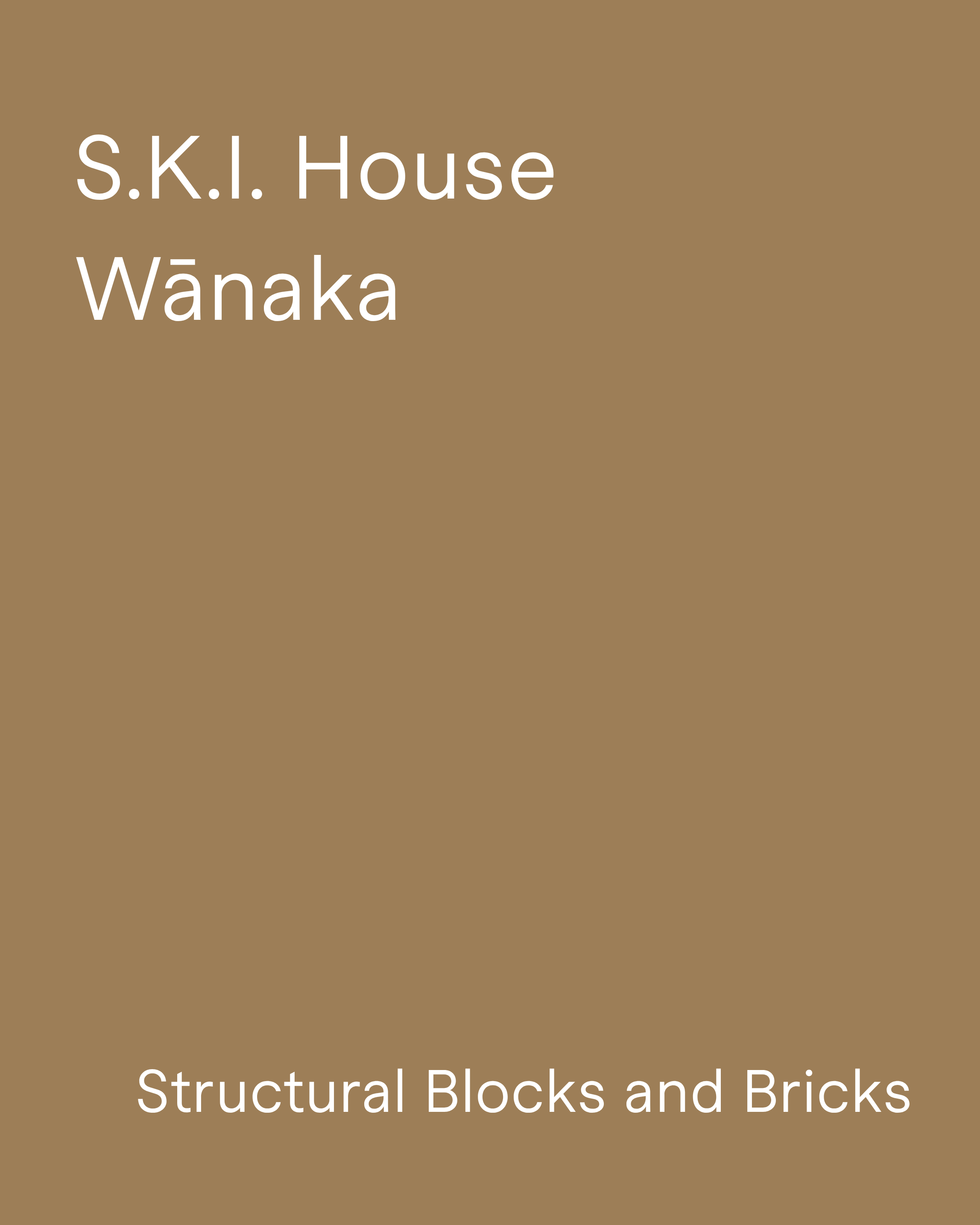 Ski House project - Viblock Brick