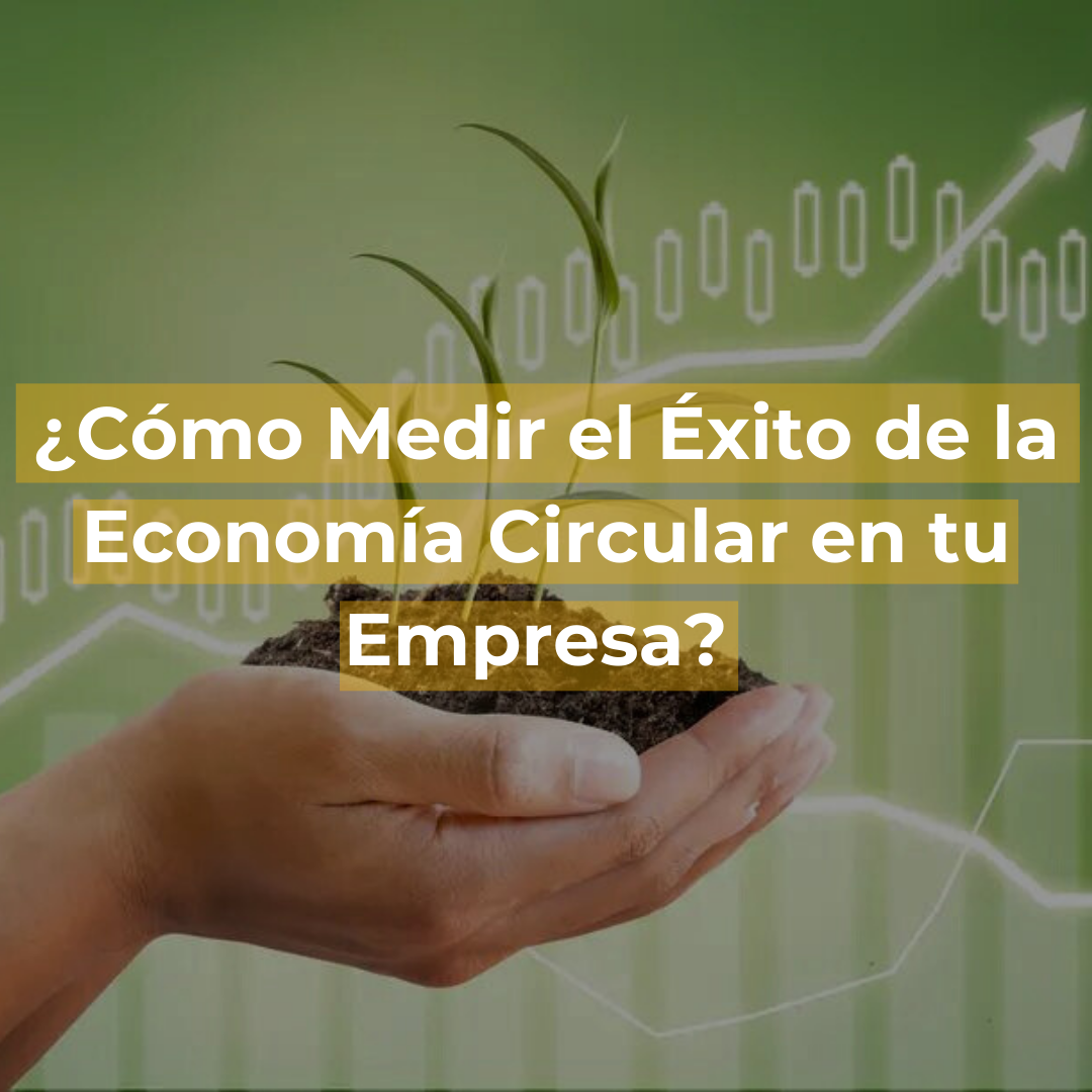 ¿Cómo Medir el Éxito de la Economía Circular en tu Empresa?