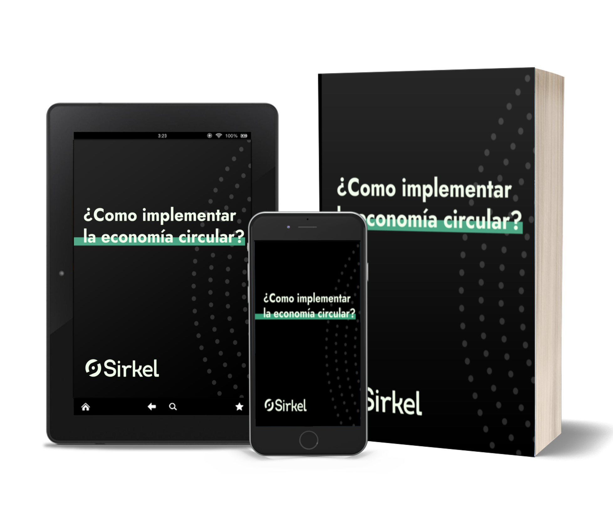 Cómo implementar Economía Circular en tu Empresa