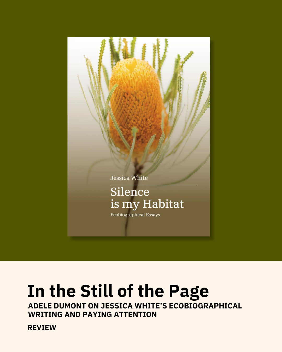 In the Still of the Page