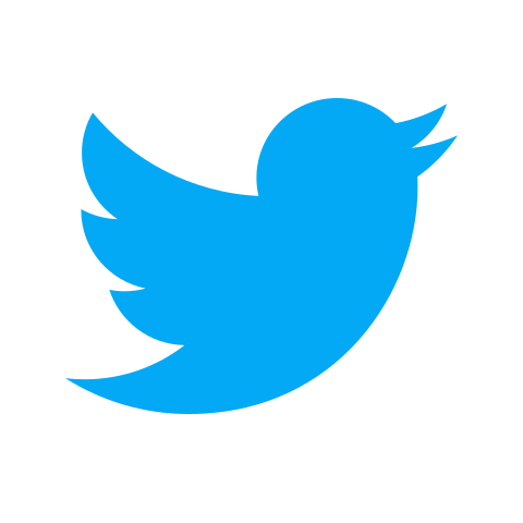 Twiiter/X Logo
