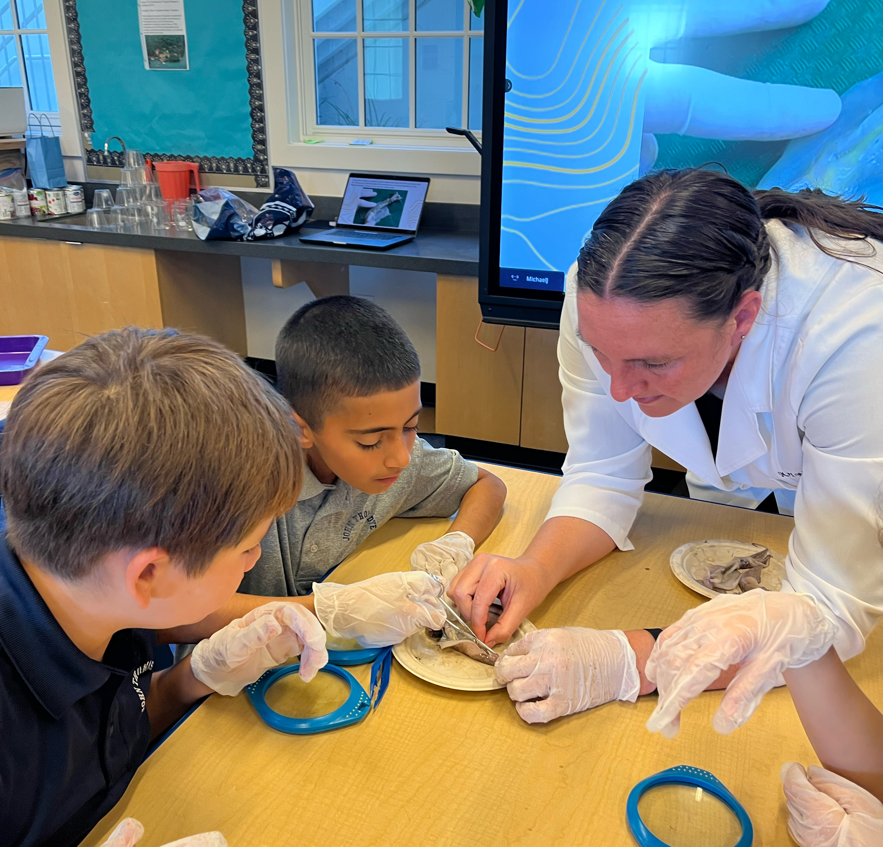 Grade 5 students receiving hands on instruction during a squid Dissection