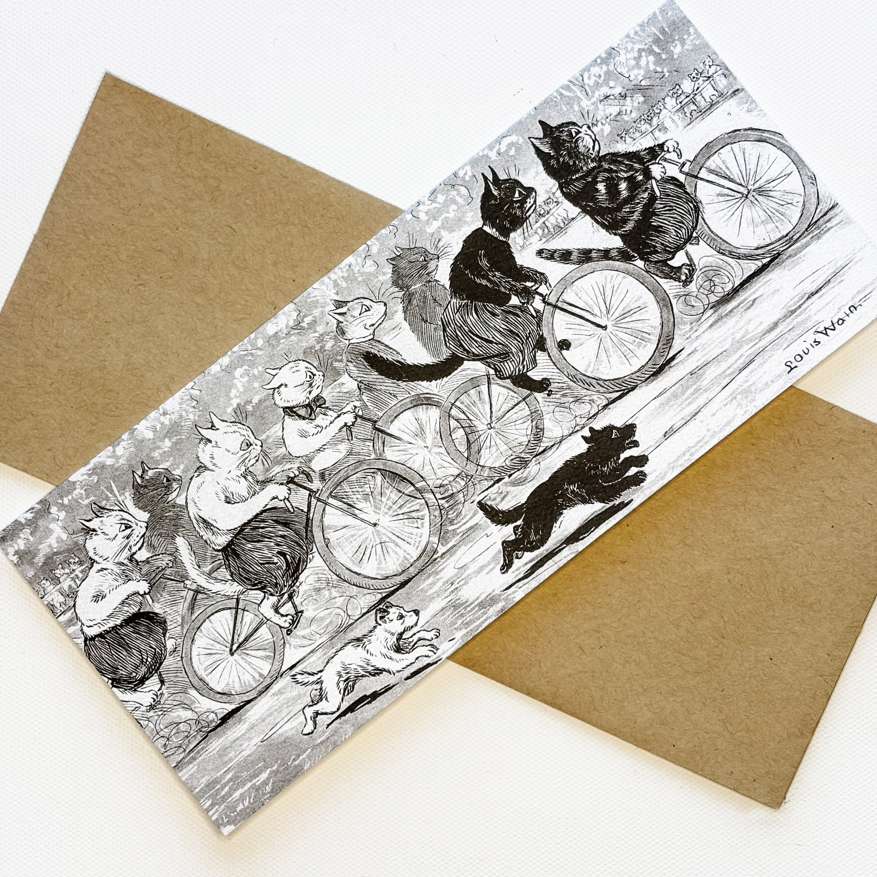 The Man Who Drew Cats