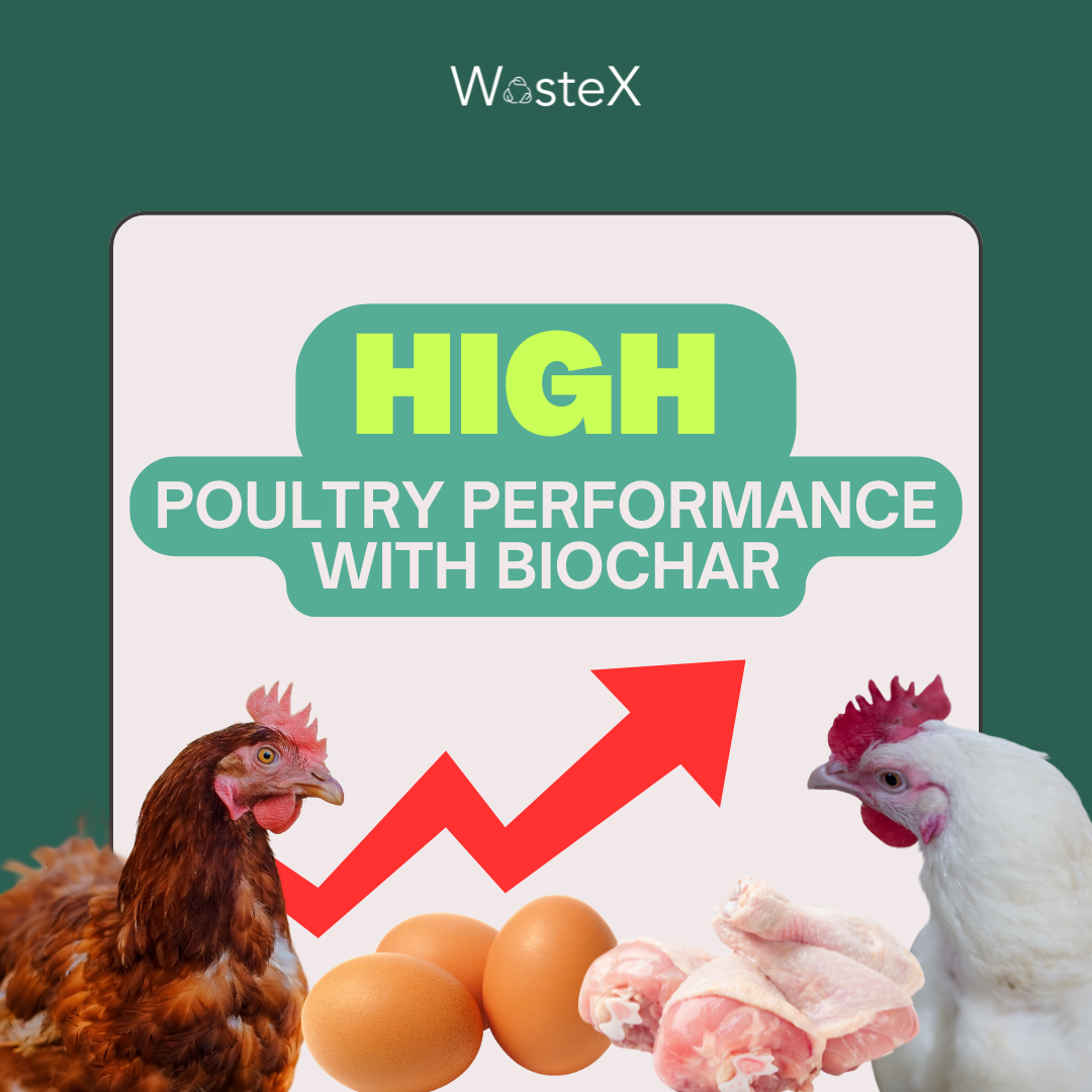 Enhancing Poultry Farm with Biochar
