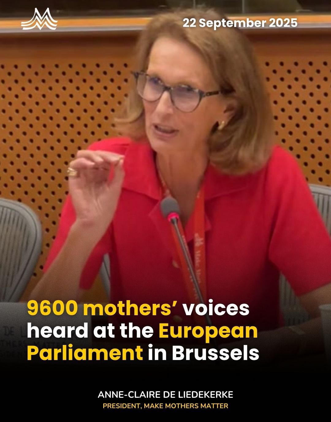 What MMM asked the European Parliament