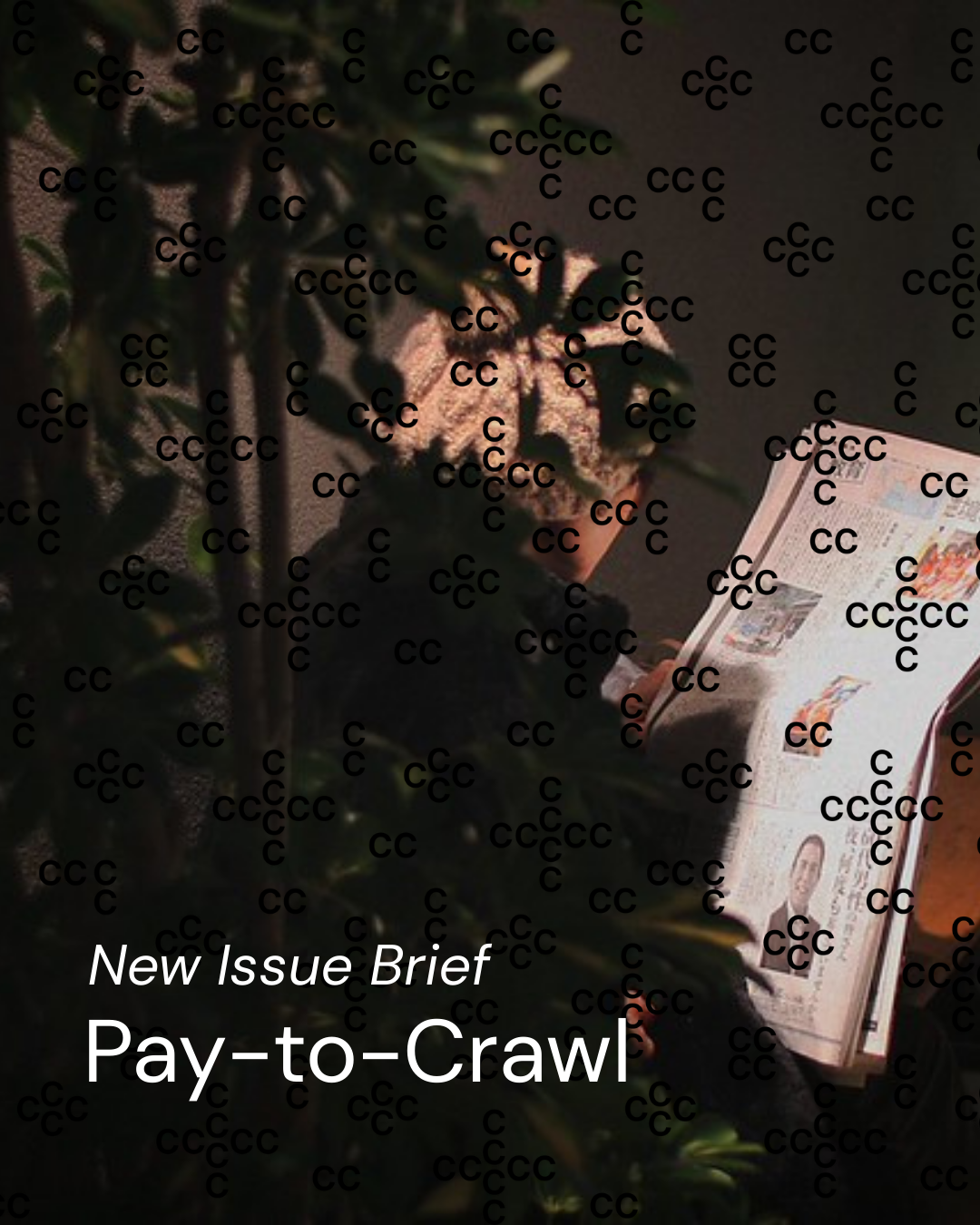 Read our Pay-to-Crawl Issue Brief