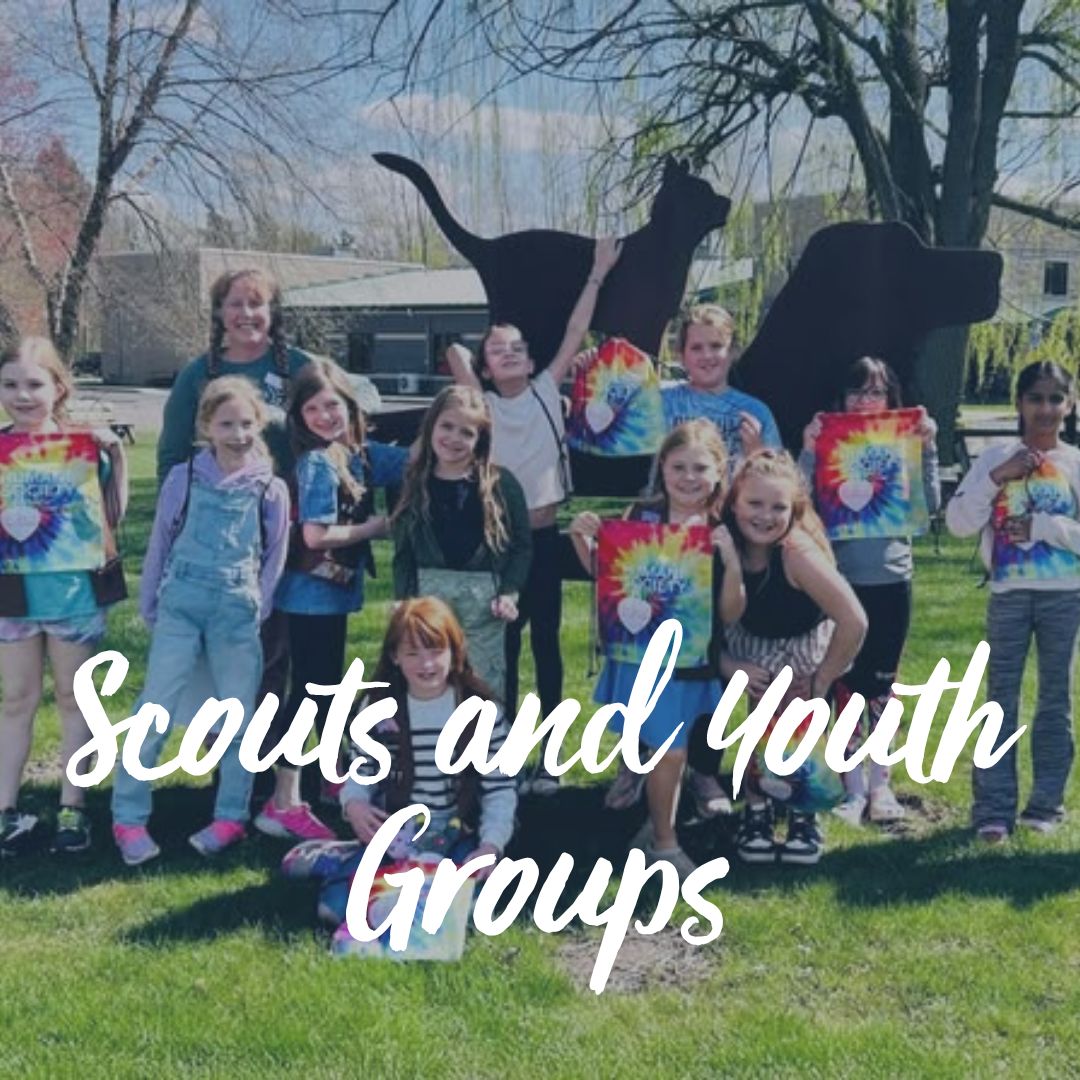 https://form.jotform.com/HSWM/scoutsandprivateyouthgroups
