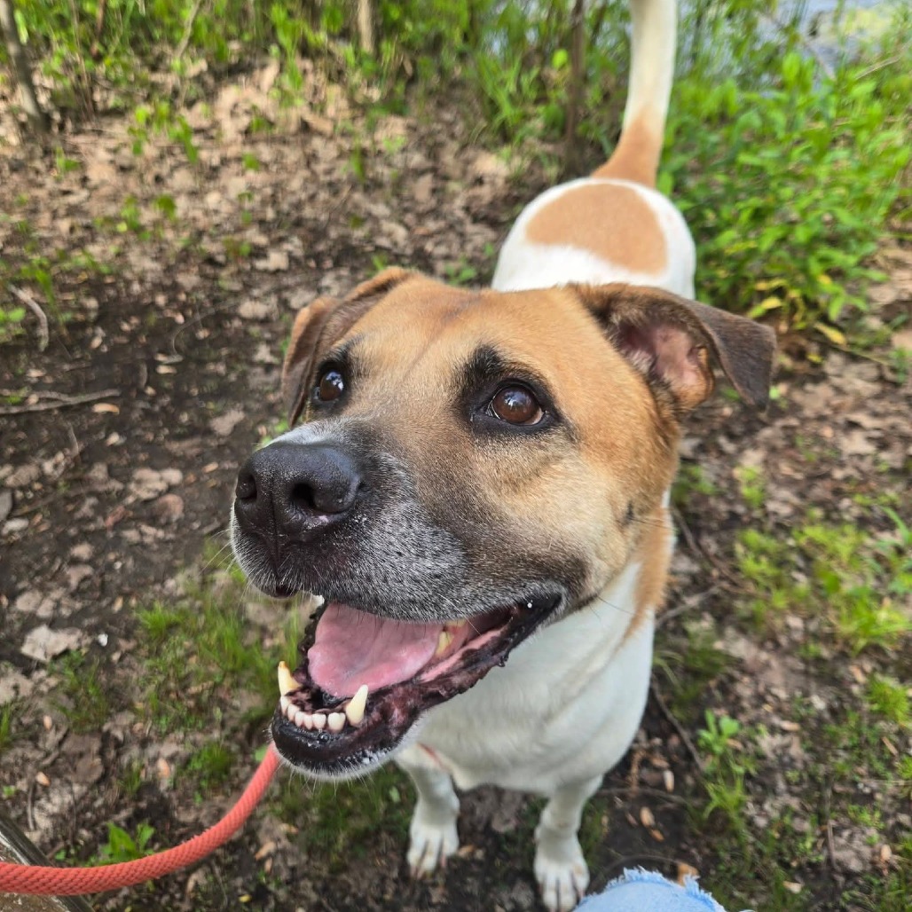 MarDay is available for adoption!