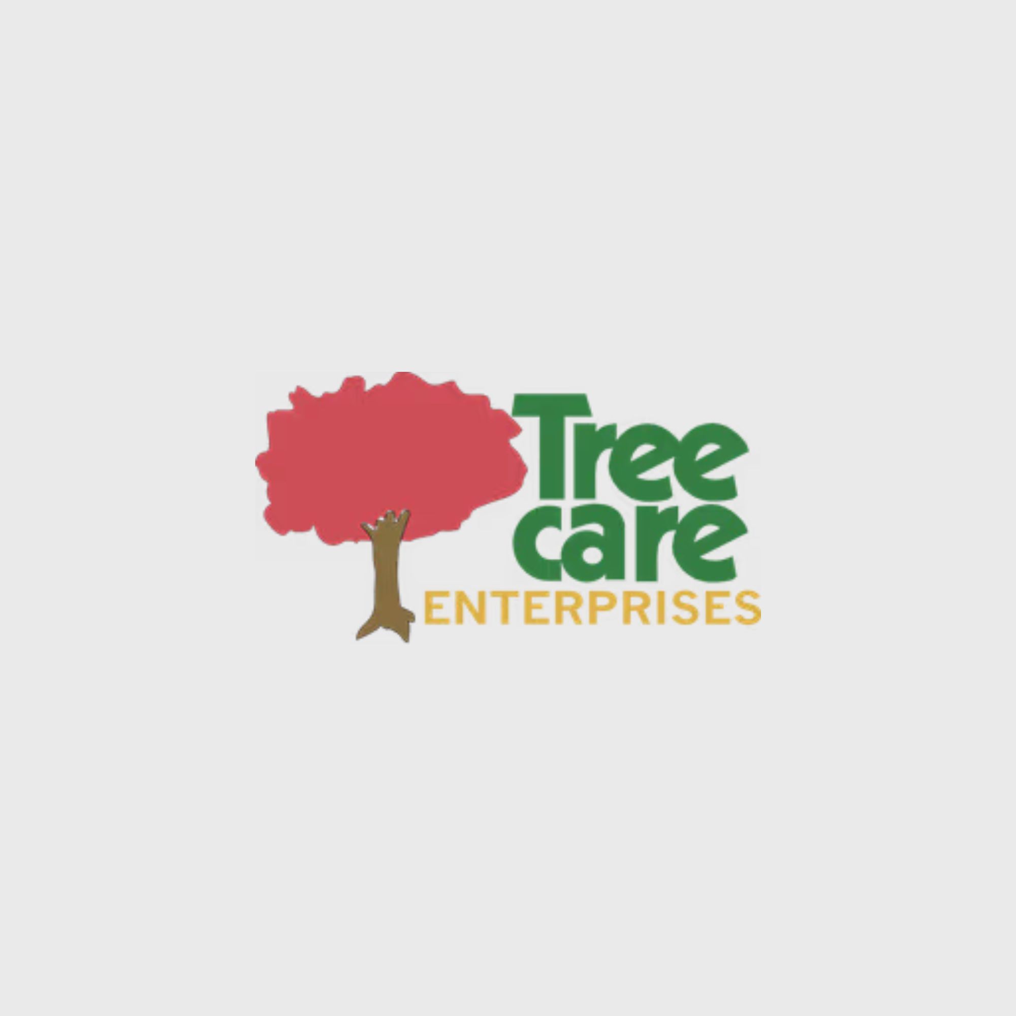 Tree Care Enterprises on Buffer